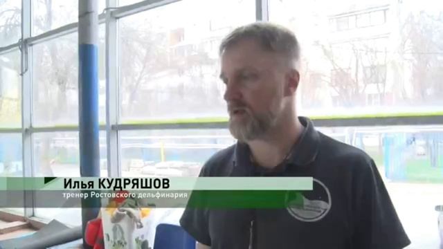 Профилактический визит в ростовский дельфинарий смотреть онлайн