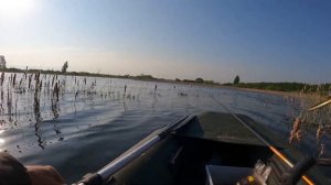 Вот это лапти в густом камыше! Ловля карася с лодки на удочку