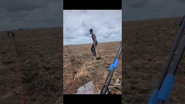 Kembo Produit Agricole смотреть онлайн