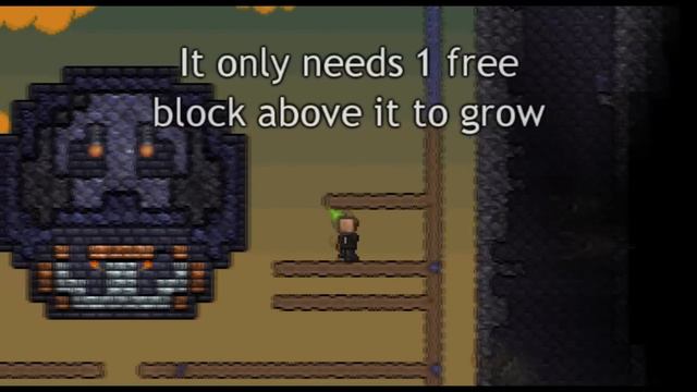 Terraria - Vile Mushroom and Rotten Chunk farm with Style (Pixel art) смотреть онлайн