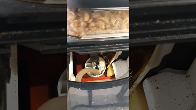 krups EA82 problems смотреть онлайн