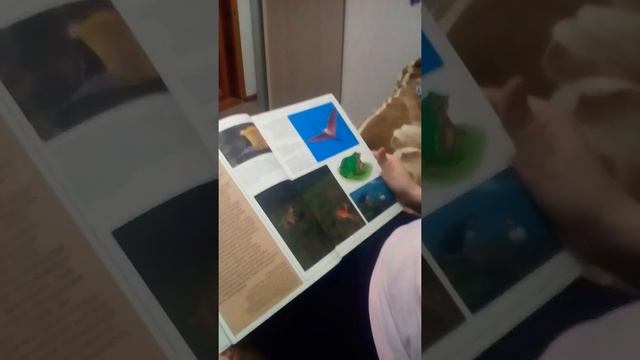Показываю энциклопедию о животных! смотреть онлайн
