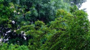 Расслабляющая фортепианная музыка и мягкий дождь музыка для сна, лечебная музыка, спокойная музыка