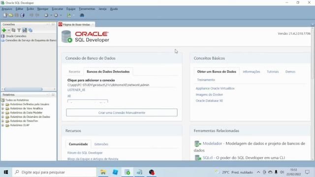 Parte 08 - Curso PLSQL - Fazendo uma conexão com o banco de dados ORACLE смотреть онлайн
