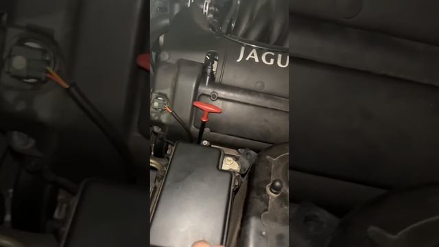 Jaguar XK8 jump start! #automobile #jaguar #car #jumpstarter #battery #deadbattery смотреть онлайн