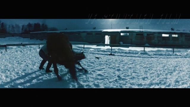 Конная тренировка смотреть онлайн