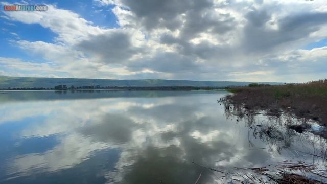 Заповедник а-Хула, Израиль - ha-Hula nature reserve - שמורת החולה смотреть онлайн