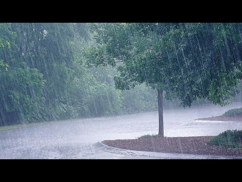 РАССЛАБЛЯЮЩИЙ ЗВУК ДОЖДЯ _ ЗВУК СИЛЬНОГО ДОЖДЯ _ ИССЛЕДОВАНИЕ _ ФОКУС смотреть онлайн