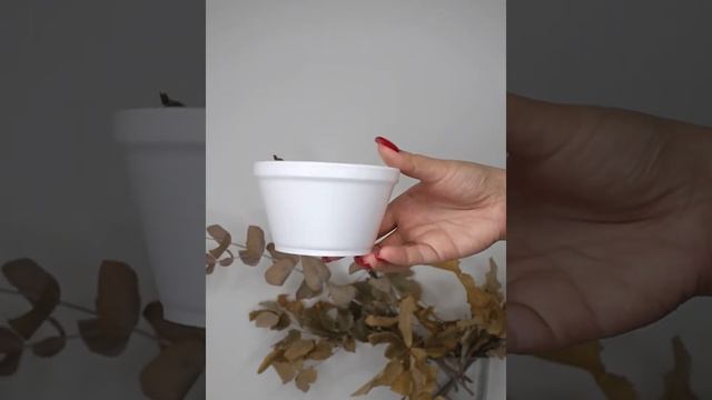 Емкость для супа одноразовая 350 мл