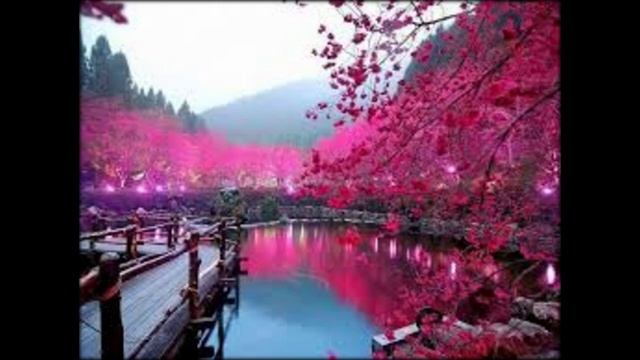 Евгений Петросян Сантехнические услуги.mp4 смотреть онлайн