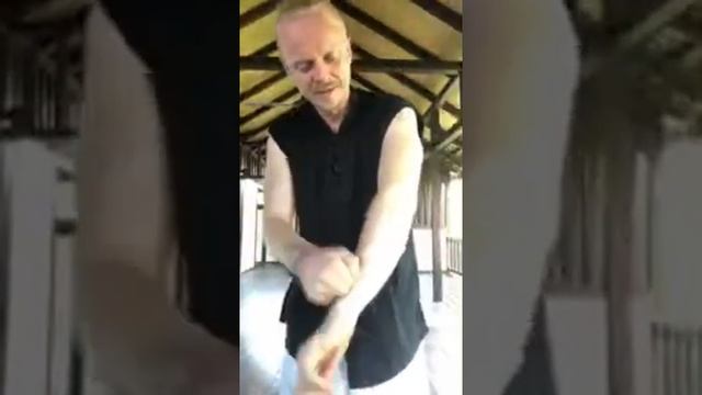 Цигун с Косом «Потоки Жизни» открытый урок.mp4