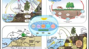 Биология. Урок №5 Круговорот азота и углерода в природе. Биохимические процессы в биосфере.