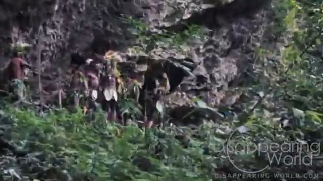 Tribes Of Papua, New Guinea   Племена Западного Папуа, Новая Гвинея