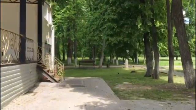 Первый раз на сцене.Отдых в Людиново.(06.22г) смотреть онлайн