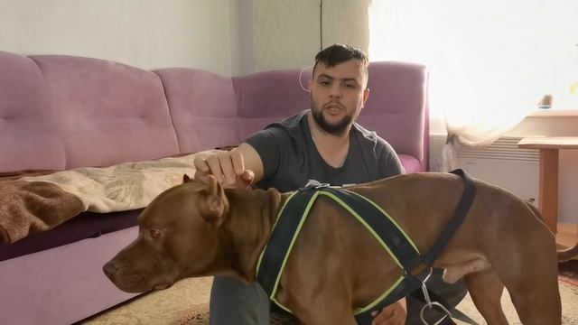 Советы по уходу за волосами