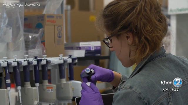 Scent of Extinct Maui Mountain Hibiscus Revived by Science смотреть онлайн