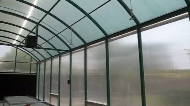 Cloning of Sacred Dukh Bhanjani ber (Ziziphus jujuba) tree in Museum of Trees Chandigarh : смотреть онлайн