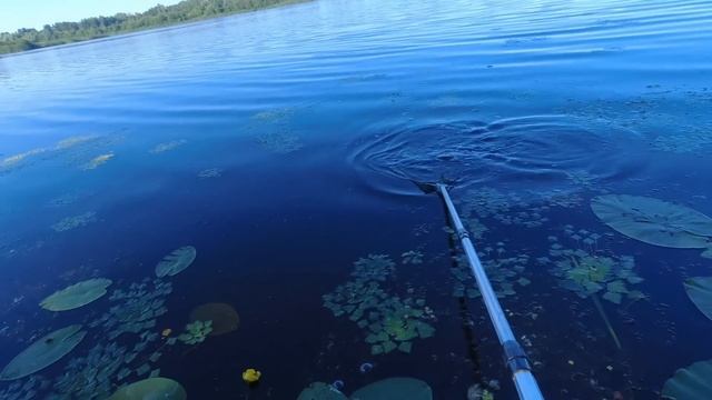 СЕКРЕТЫ ЛОВЛИ КАРАСЯ В ЖАРУ смотреть онлайн