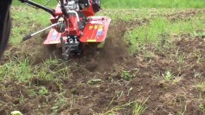 Купил мотоблок.  Собрал. Настройка зажигания, установка фрез и проба на грунте