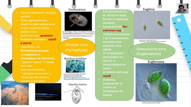 I година - Биологија - Царство на протисти смотреть онлайн