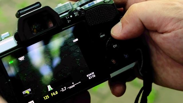 Обзор Olympus OM-D E-M5 Mark III (отзывы на Pleer.ru) смотреть онлайн