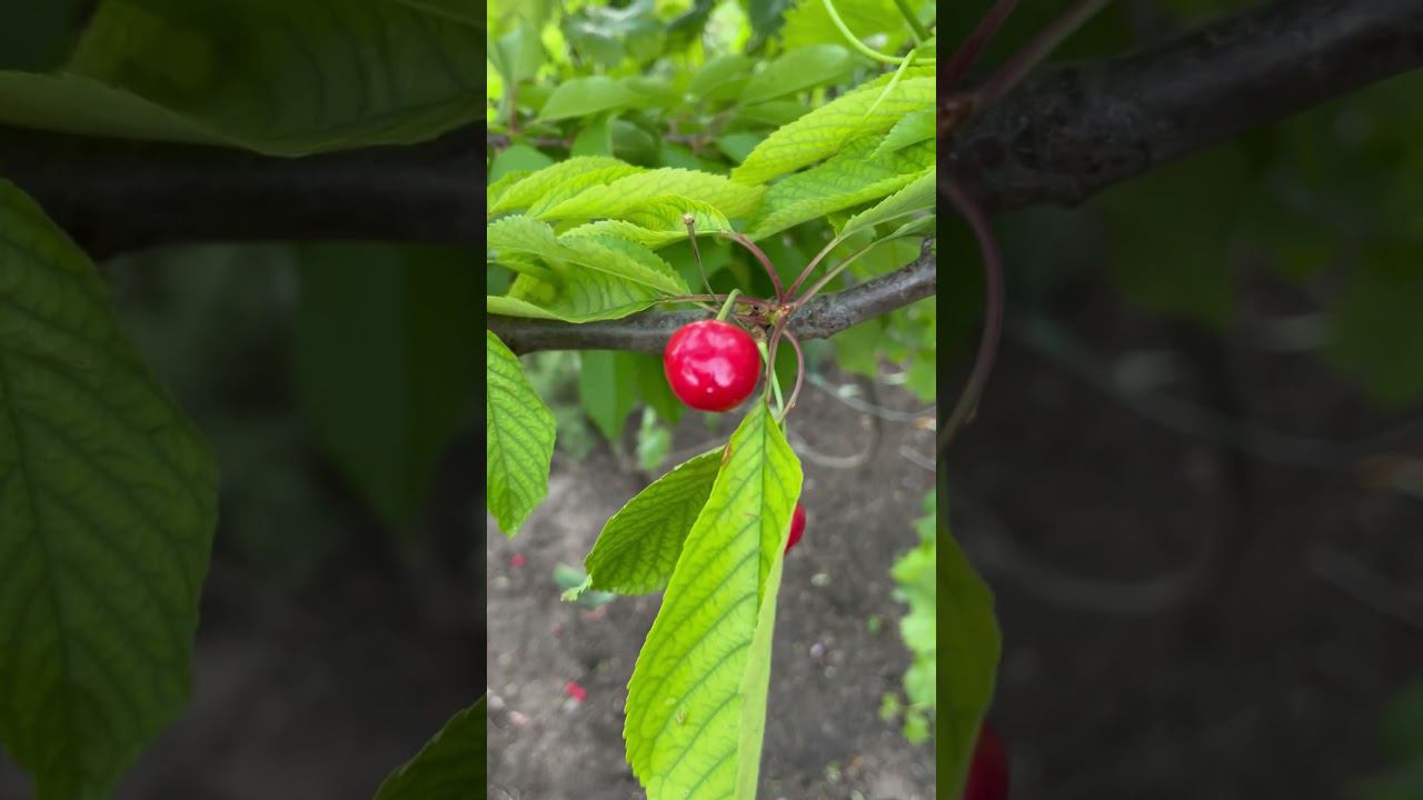 28 мая 2024 г.