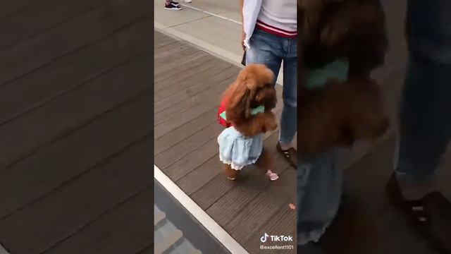 8 марта 2022 г. смотреть онлайн