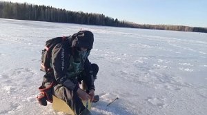 Учимся рыбу ловить! Тренировка. Чемпионат Кировской области по мормышке. Омутниское водохранилище