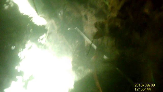 Подводная охота Сож прозрак упал 09.09.2018 Монастырщинский район!!!Плотвина огого!!! смотреть онлайн