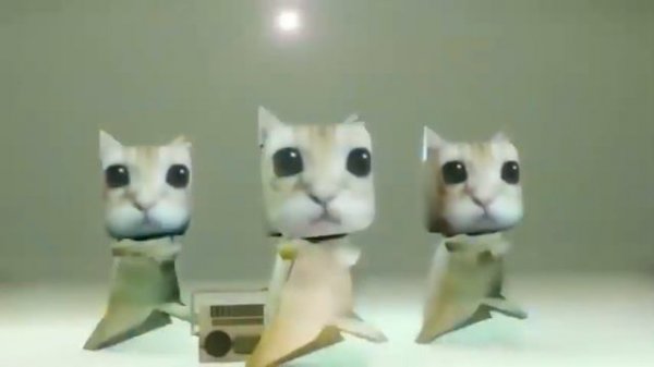 котики танцуют под песню 1час!