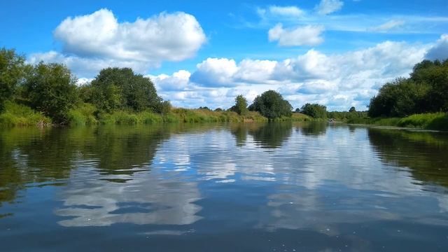 83 Е Самарина Не торопись ронять слова #современнаяпоэзия #философскаялирика смотреть онлайн