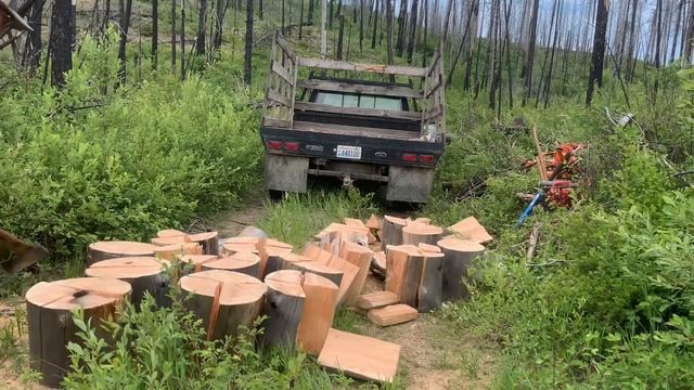 MTN LIFE | Premium Firewood | Bonus Footage of A Timber Rattler ? ? смотреть онлайн