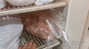 Морозильная камера своими руками.