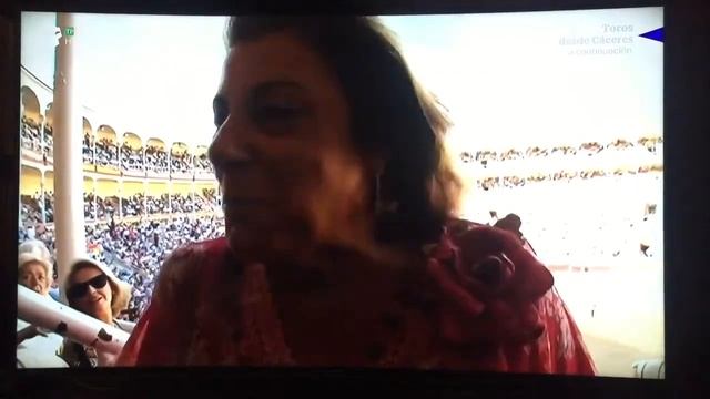Plaza de Toros de Las Ventas ( Madrid-España ) смотреть онлайн