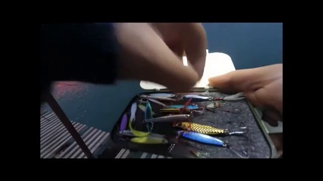 Ловля ставриды в Анапе смотреть онлайн