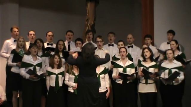 Vernalis - Тебе, необоримую стену (Павел Чесноков) смотреть онлайн