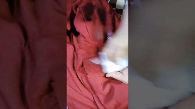 Химчистка дома, чистим зимние куртки??? смотреть онлайн