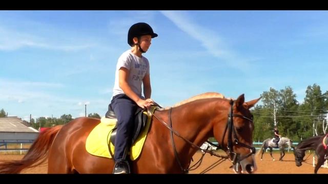 Конно-спортивный центр "Нижняя Тавда" смотреть онлайн