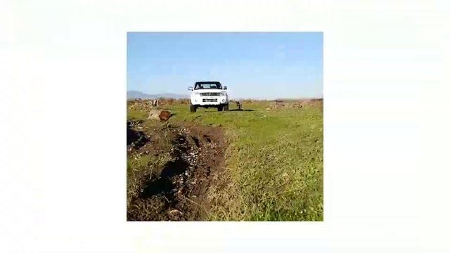 Nissan Hardbody 2. 4 4x4 Muddy Tracks смотреть онлайн
