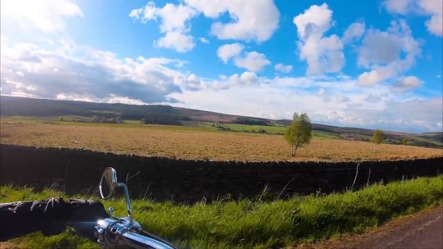 PILLION to RIDER on my Harley Deluxe!! Woman rider experience смотреть онлайн