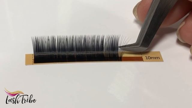 Mega Volume Eyelash Extensions 0.03 Trays смотреть онлайн