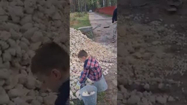 как построить забор из габионов в лесу смотреть онлайн