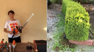 ЧЕМ СТРИГУ САД. Инструмент для стрижки хвойных, кустарников, многолетников. ВЫБИРАЕМ КУСТОРЕЗ!