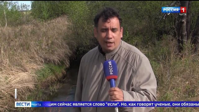 Добыча золота на реке Ималка может угрожать Торейским озерам смотреть онлайн