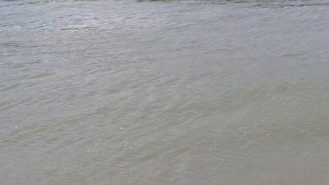 Заря 353 Омск . смотреть онлайн