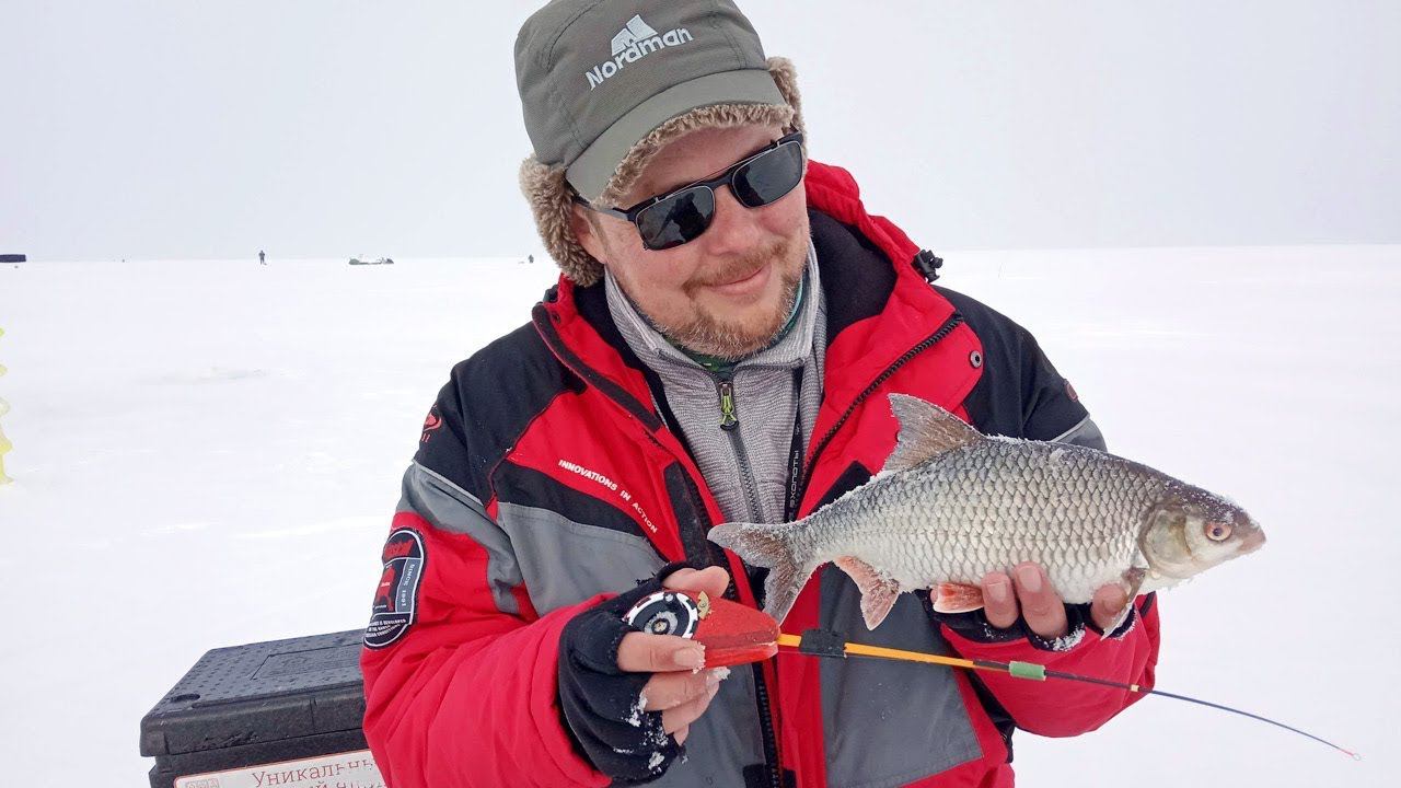 Сорога до полкило и мордатые окуни. Рыбалка на безнасадку и балансир в феврале на водохранилище. смотреть онлайн