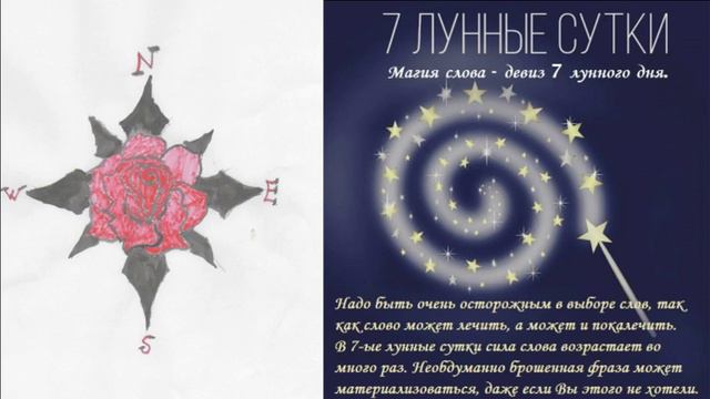 Роза Ветров  7 лунный день