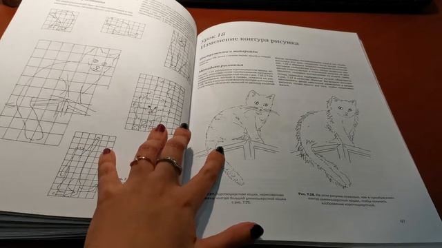 #Рисование #Книга Обзор книги по графическому рисунку кошки смотреть онлайн