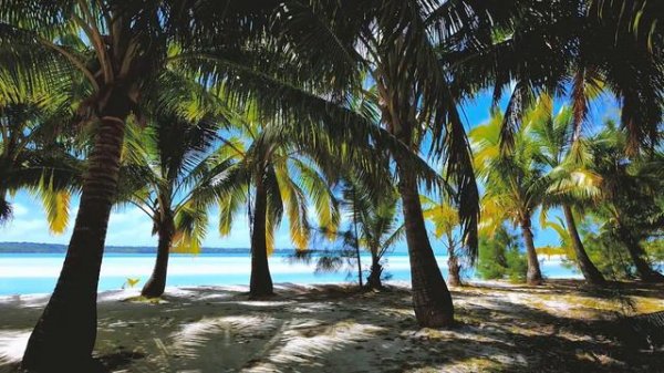 Tropical Paradise Beach with Crashing Waves and Relaxing Music