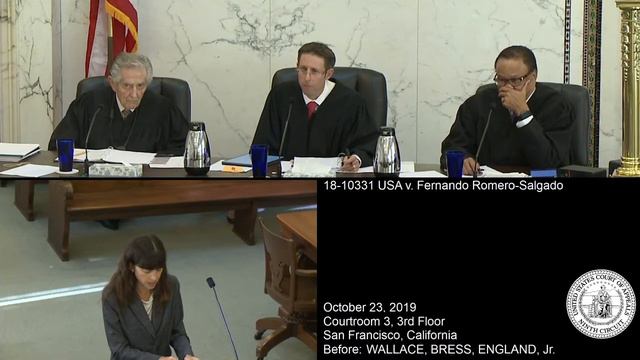 18-10331 USA v. Fernando Romero-Salgado смотреть онлайн